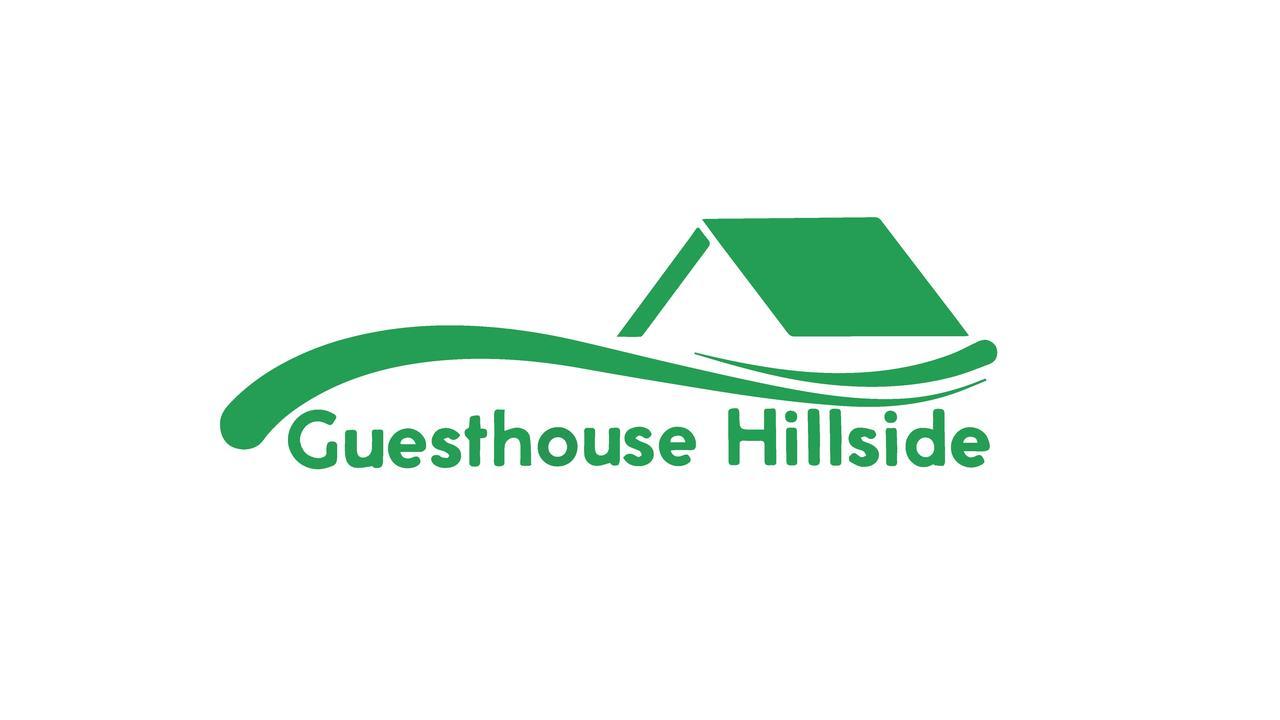 Guesthouse Hillside ティビリシ エクステリア 写真